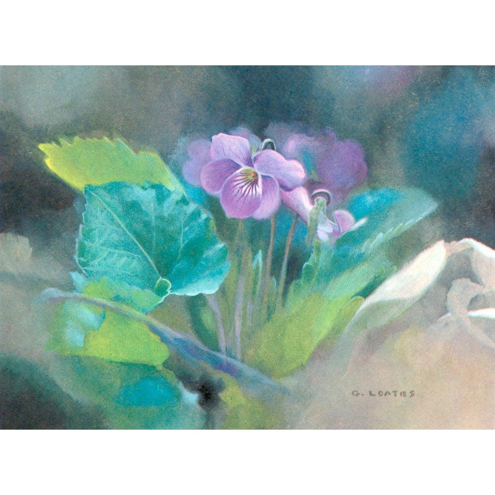 Violet - Framed Print | Artwork by Glen Loates