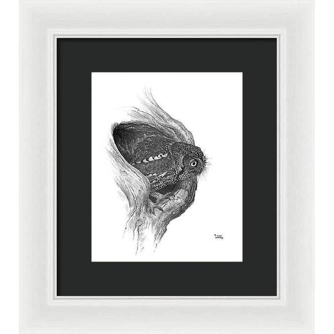 Whiskered Owl - Framed Print | Artwork by Glen Loates