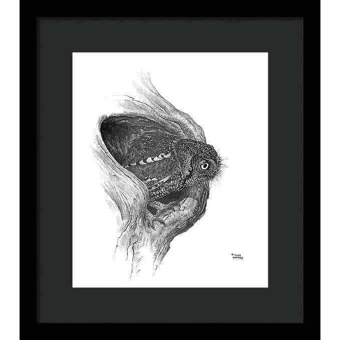 Whiskered Owl - Framed Print | Artwork by Glen Loates