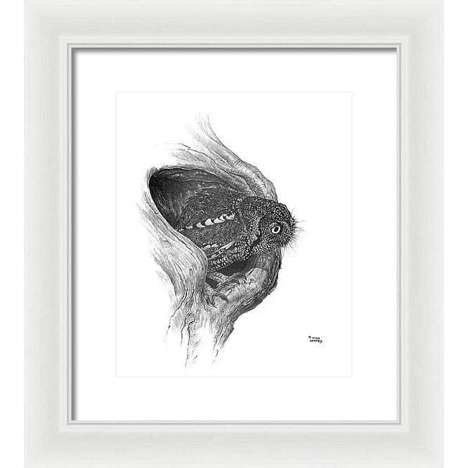 Whiskered Owl - Framed Print | Artwork by Glen Loates