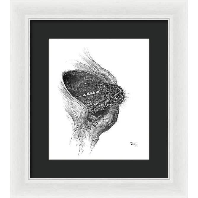 Whiskered Owl - Framed Print | Artwork by Glen Loates