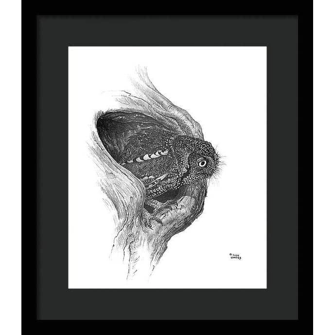 Whiskered Owl - Framed Print | Artwork by Glen Loates