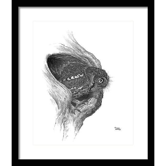 Whiskered Owl - Framed Print | Artwork by Glen Loates