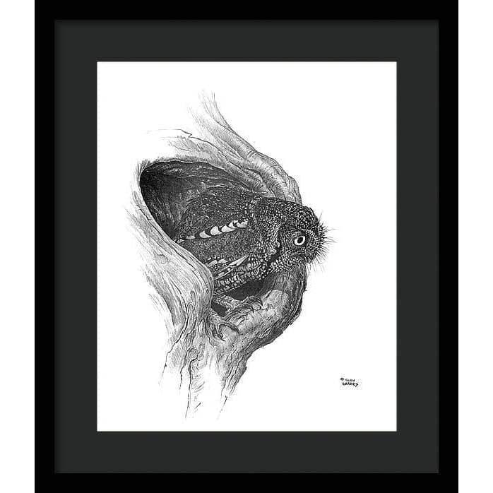 Whiskered Owl - Framed Print | Artwork by Glen Loates