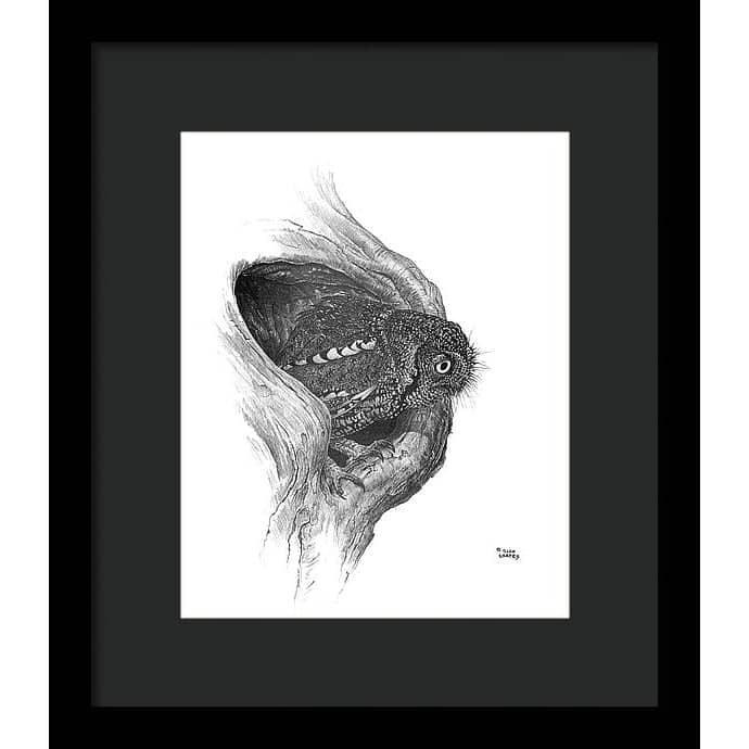 Whiskered Owl - Framed Print | Artwork by Glen Loates