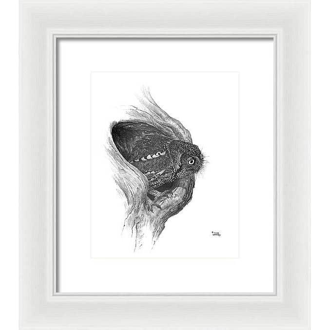 Whiskered Owl - Framed Print | Artwork by Glen Loates