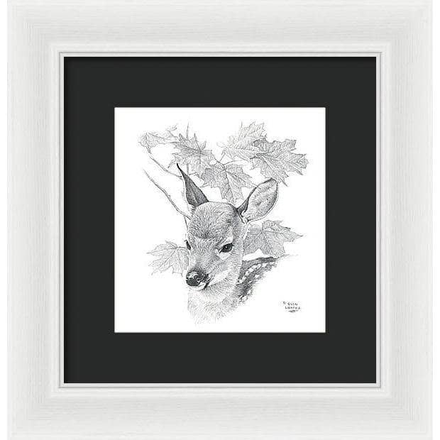 White Tailed Deer Fawn Portrait - Framed Print | Artwork by Glen Loates