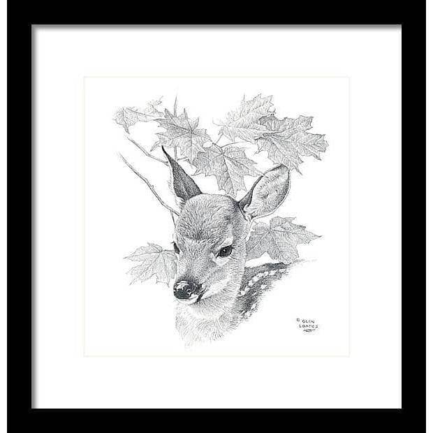 White Tailed Deer Fawn Portrait - Framed Print | Artwork by Glen Loates