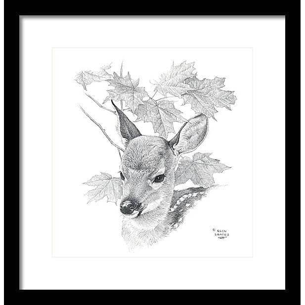 White Tailed Deer Fawn Portrait - Framed Print | Artwork by Glen Loates