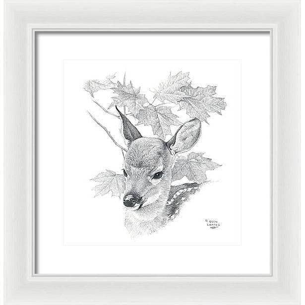 White Tailed Deer Fawn Portrait - Framed Print | Artwork by Glen Loates