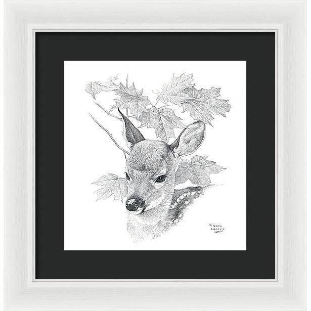 White Tailed Deer Fawn Portrait - Framed Print | Artwork by Glen Loates