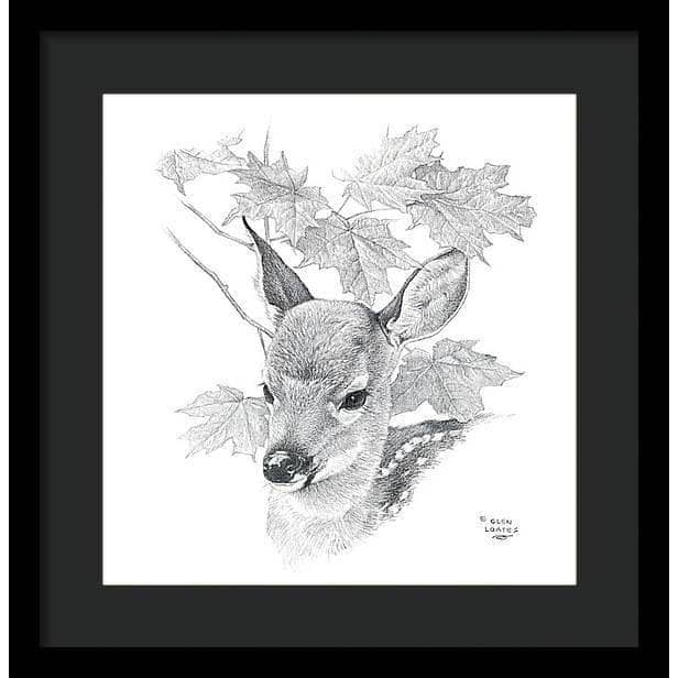 White Tailed Deer Fawn Portrait - Framed Print | Artwork by Glen Loates