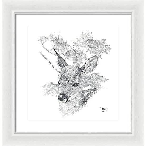 White Tailed Deer Fawn Portrait - Framed Print | Artwork by Glen Loates