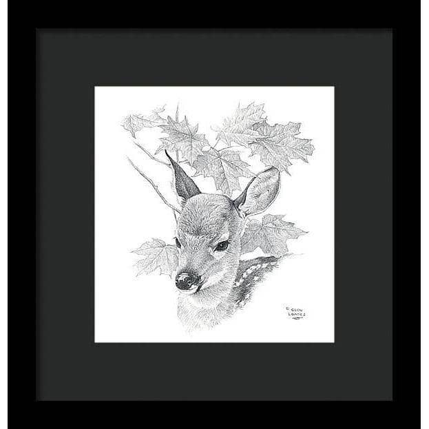 White Tailed Deer Fawn Portrait - Framed Print | Artwork by Glen Loates