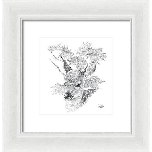 White Tailed Deer Fawn Portrait - Framed Print | Artwork by Glen Loates