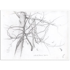 Giclée sur papier