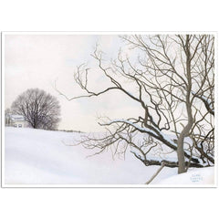 Giclée on Paper