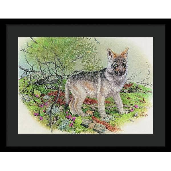 Wolf Pup - Framed Print | Artwork by Glen Loates