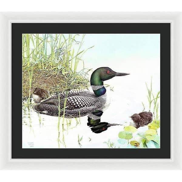 Loon with Young - Framed Print | Artwork by Glen Loates