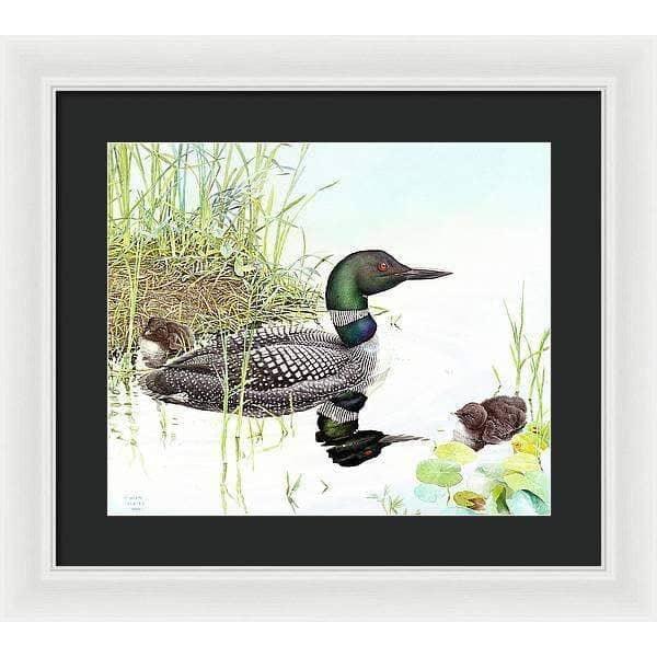 Loon with Young - Framed Print | Artwork by Glen Loates