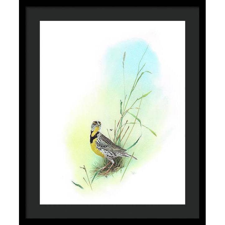 Meadow Lark - Framed Print | Artwork by Glen Loates