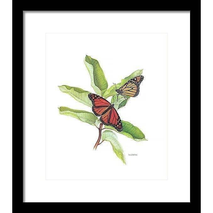 Monarch Butterflies - Framed Print | Artwork by Glen Loates