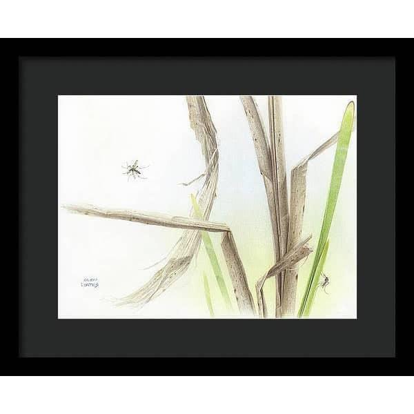 Mosquitoes - Framed Print | Artwork by Glen Loates