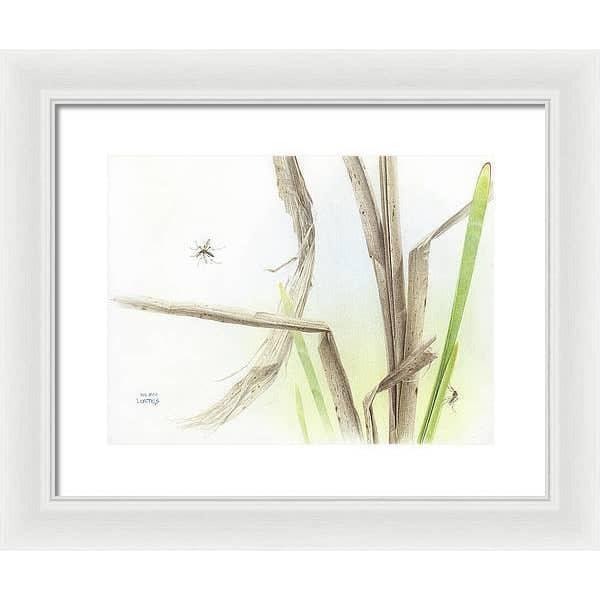 Mosquitoes - Framed Print | Artwork by Glen Loates