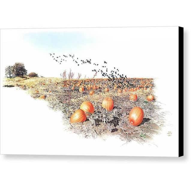 Pumpkin Patch - Canvas Print | Artwork by Glen Loates