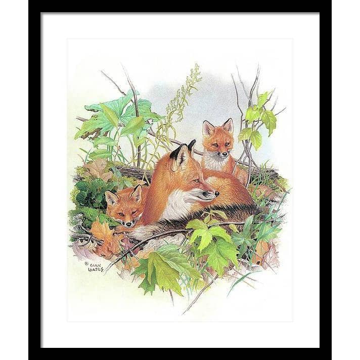 Red Fox and Kits - Framed Print | Artwork by Glen Loates