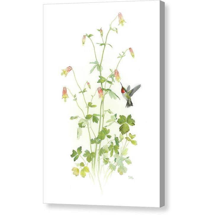 Ruby-throated Hummingbird with Red Columbine - Canvas Print | Artwork by Glen Loates