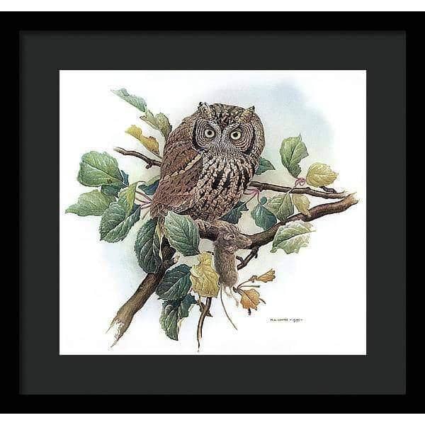 Screech Owl with Field Mouse - Framed Print | Artwork by Glen Loates