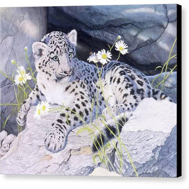 Snow Leopard Cub - Canvas Print | Artwork by Glen Loates