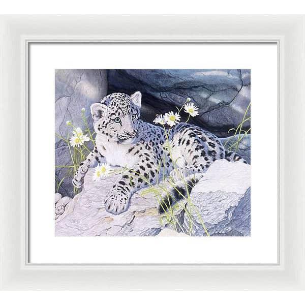 Snow Leopard Cub - Framed Print | Artwork by Glen Loates