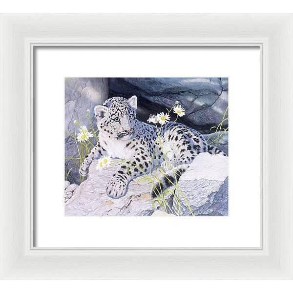 Snow Leopard Cub - Framed Print | Artwork by Glen Loates