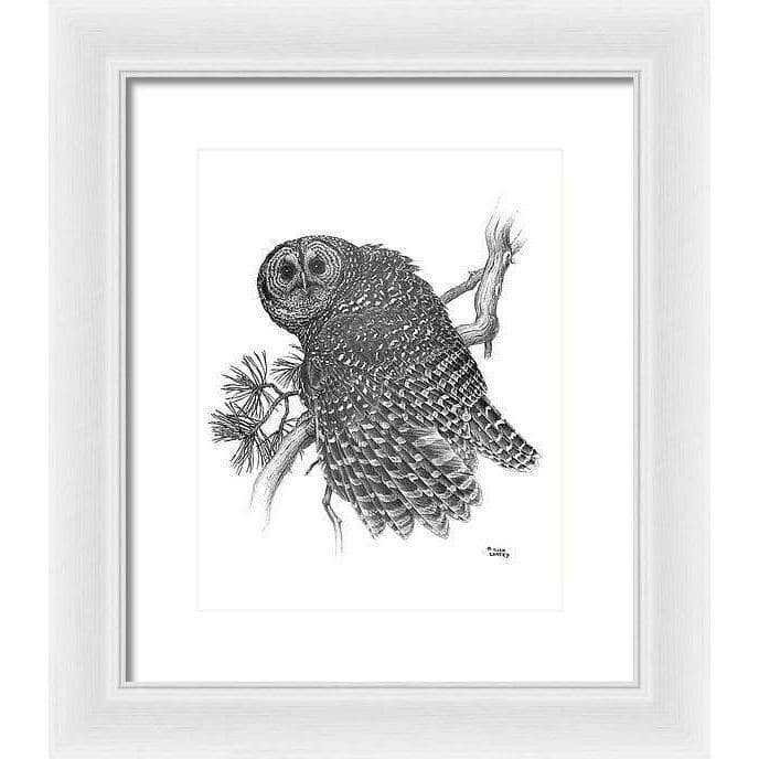 Spotted Owl - Framed Print | Artwork by Glen Loates