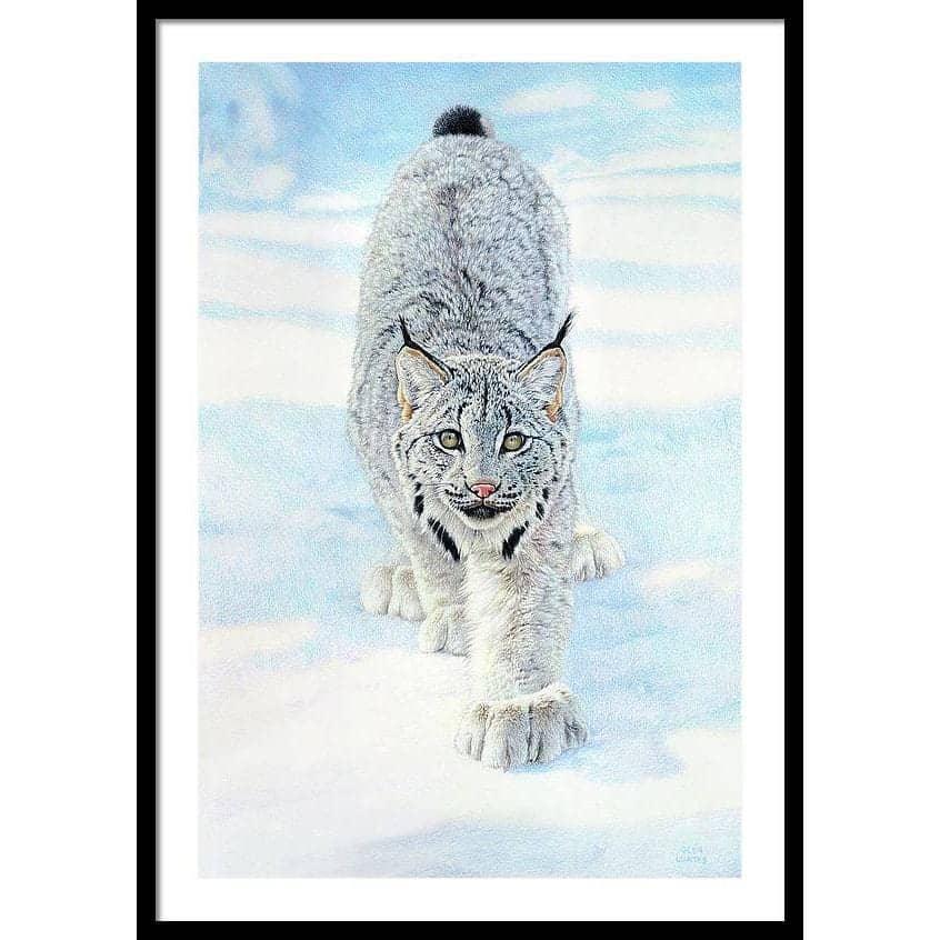 Stalking Lynx - Framed Print | Artwork by Glen Loates