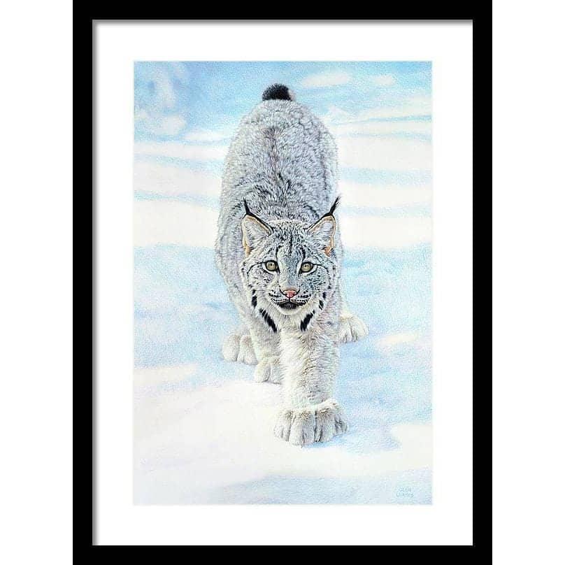 Stalking Lynx - Framed Print | Artwork by Glen Loates