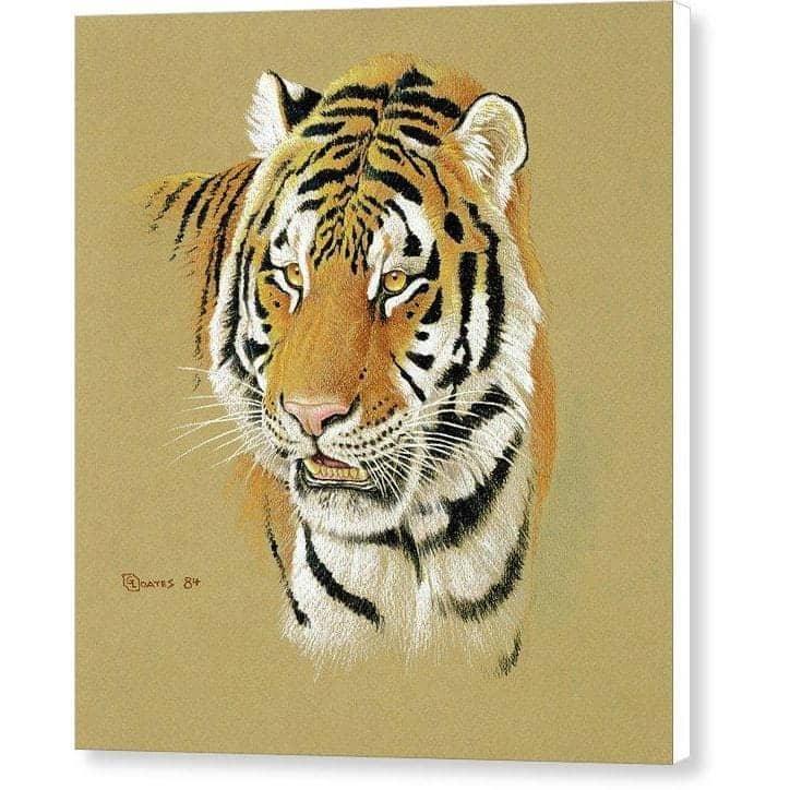 Tiger Portrait - Canvas Print | Artwork by Glen Loates