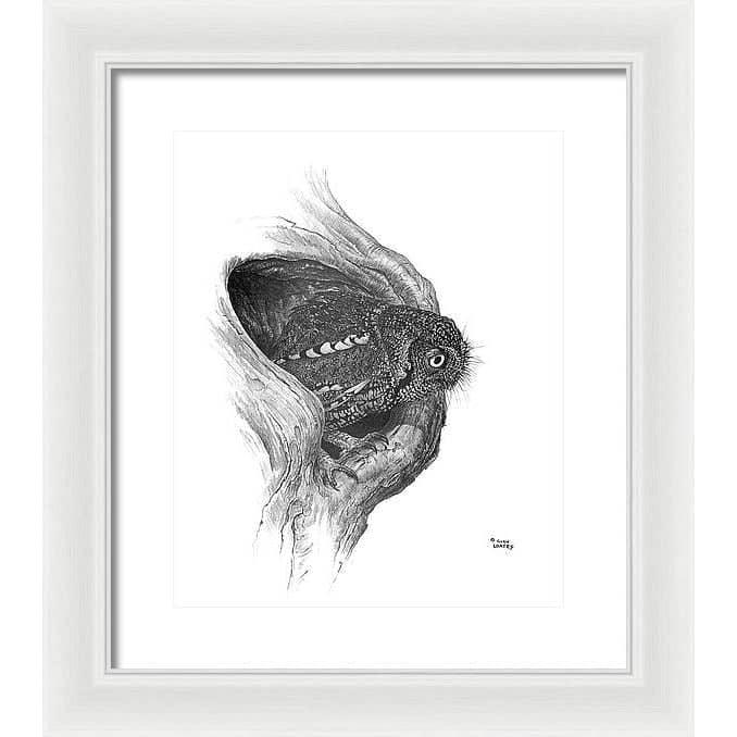 Whiskered Owl - Framed Print | Artwork by Glen Loates
