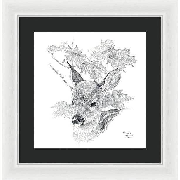 White Tailed Deer Fawn Portrait - Framed Print | Artwork by Glen Loates