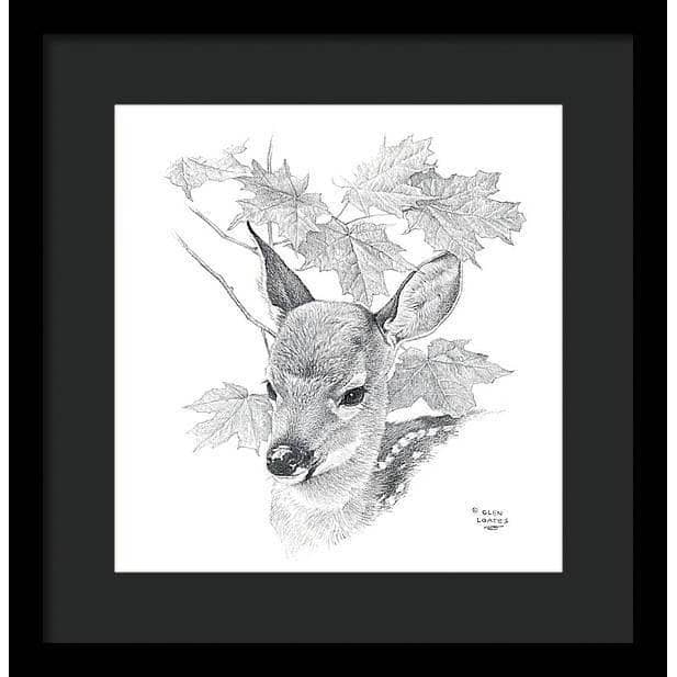 White Tailed Deer Fawn Portrait - Framed Print | Artwork by Glen Loates